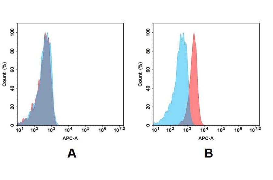 Flow Cytometry - Anti-BCMA Antibody [DM4] - BSA and Azide free (A318679) - Antibodies.com