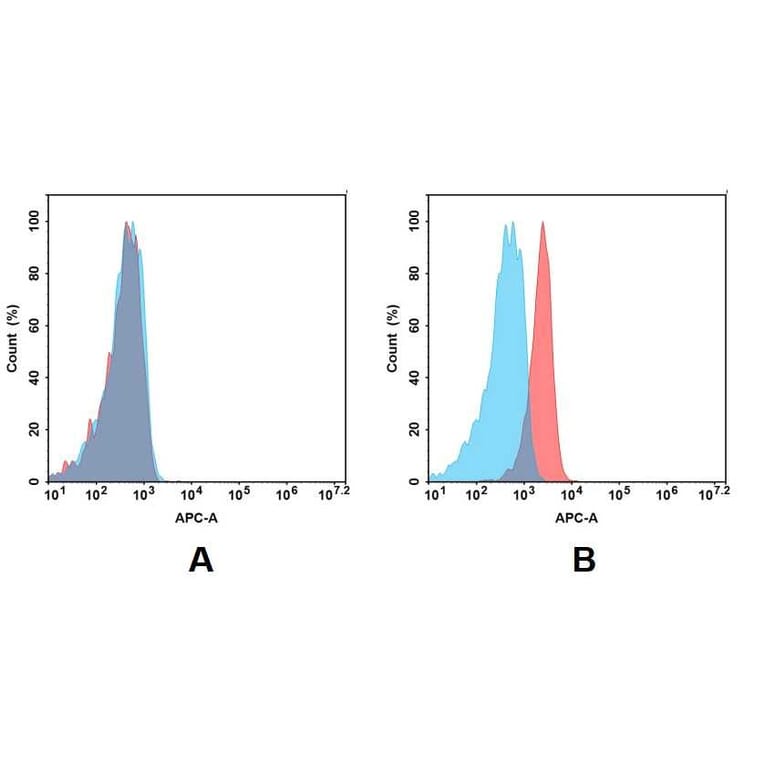 Flow Cytometry - Anti-BCMA Antibody [DM4] - BSA and Azide free (A318679) - Antibodies.com
