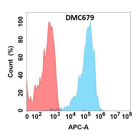 Flow Cytometry - Anti-CXCR5 Chimeric Antibody [DMC679] - Azide free (A318689) - Antibodies.com
