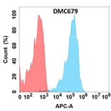 Flow Cytometry - Anti-CXCR5 Chimeric Antibody [DMC679] - Azide free (A318689) - Antibodies.com