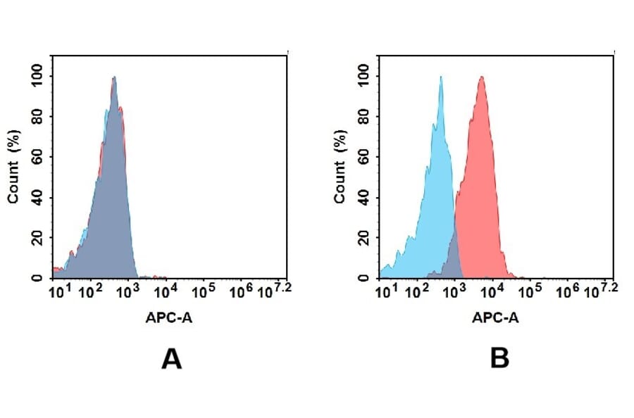 Flow Cytometry - Anti-CD74 Antibody [DMC674] - BSA and Azide free (A318691) - Antibodies.com