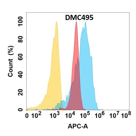 Flow Cytometry - Anti-YAP1 Chimeric Antibody [DMC495] - Azide free (A318698) - Antibodies.com