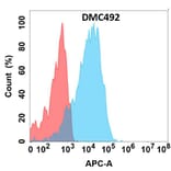 Flow Cytometry - Anti-GPCR GPR75 Chimeric Antibody [DMC492] - Azide free (A318701) - Antibodies.com