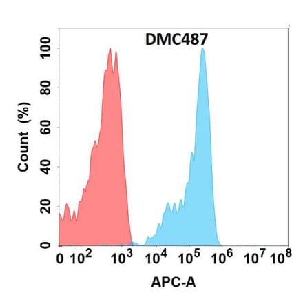 Flow Cytometry - Anti-FZD10 Chimeric Antibody [DMC487] - Azide free (A318703) - Antibodies.com