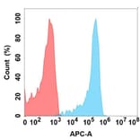 Flow Cytometry - Anti-CD23 Antibody [DMC486] - BSA and Azide free (A318704) - Antibodies.com