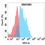 Flow Cytometry - Anti-GPCR C5L2 Chimeric Antibody [DMC482] - Azide free (A318708) - Antibodies.com