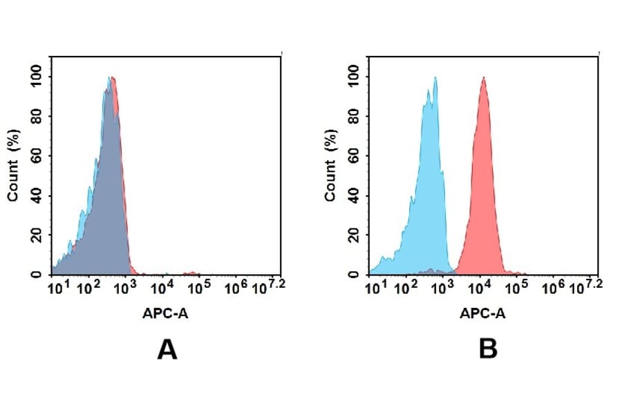Flow Cytometry - Anti-MCK10/NEP Antibody [DMC480] - BSA and Azide free (A318710) - Antibodies.com