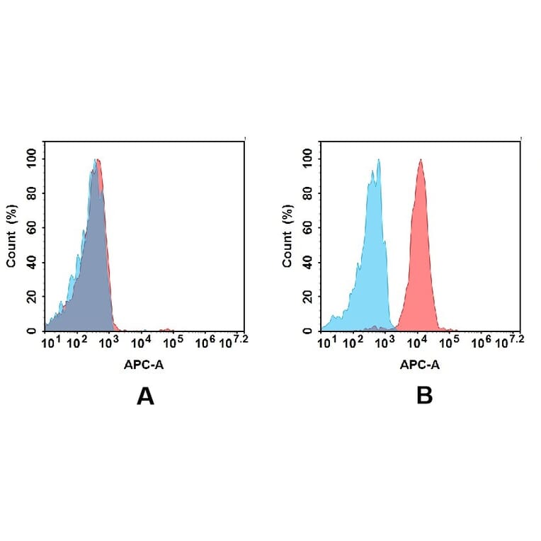 Flow Cytometry - Anti-MCK10/NEP Antibody [DMC480] - BSA and Azide free (A318710) - Antibodies.com