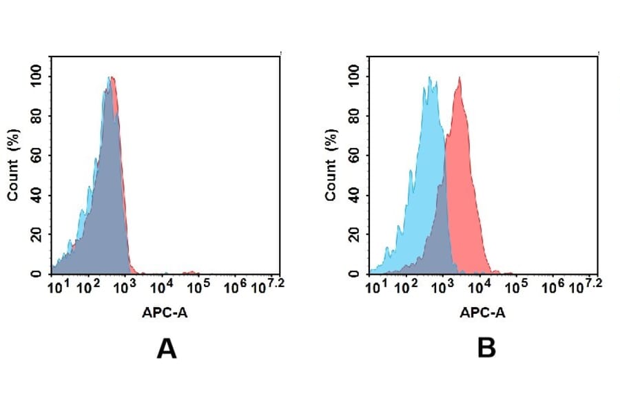 Flow Cytometry - Anti-MCK10/NEP Antibody [DMC480] - BSA and Azide free (A318710) - Antibodies.com