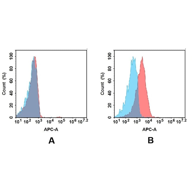 Flow Cytometry - Anti-MCK10/NEP Antibody [DMC480] - BSA and Azide free (A318710) - Antibodies.com