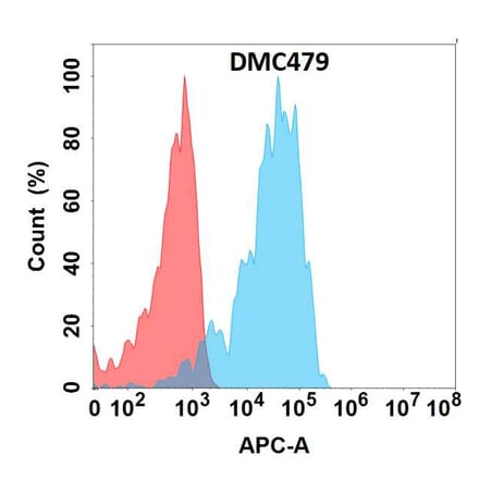 Flow Cytometry - Anti-APCDD1 Chimeric Antibody [DMC479] - Azide free (A318711) - Antibodies.com