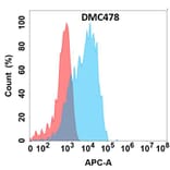 Flow Cytometry - Anti-GPCR GPR87 Chimeric Antibody [DMC478] - Azide free (A318712) - Antibodies.com