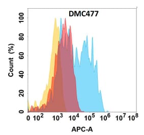 Flow Cytometry - Anti-CCR6 Chimeric Antibody [DMC477] - Azide free (A318713) - Antibodies.com