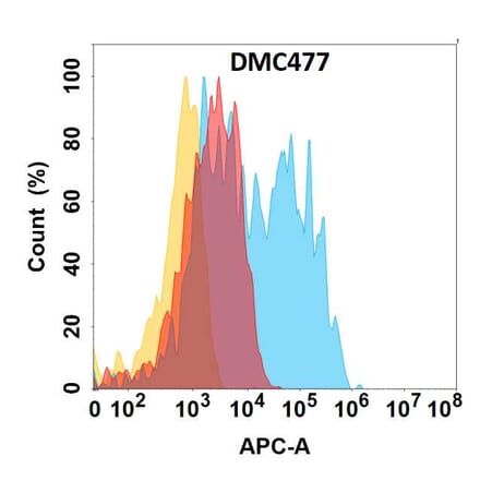 Flow Cytometry - Anti-CCR6 Chimeric Antibody [DMC477] - Azide free (A318713) - Antibodies.com