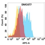 Flow Cytometry - Anti-CCR6 Chimeric Antibody [DMC477] - Azide free (A318713) - Antibodies.com