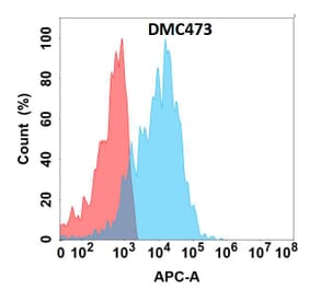 Flow Cytometry - Anti-Endomucin Chimeric Antibody [DMC473] - Azide free (A318717) - Antibodies.com