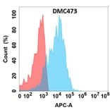 Flow Cytometry - Anti-Endomucin Chimeric Antibody [DMC473] - Azide free (A318717) - Antibodies.com