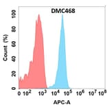 Flow Cytometry - Anti-CLEC1 Chimeric Antibody [DMC468] - Azide free (A318722) - Antibodies.com
