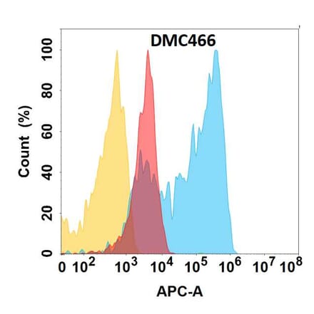 Flow Cytometry - Anti-NG2 Chimeric Antibody [DMC466] - Azide free (A318724) - Antibodies.com