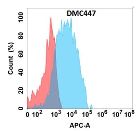 Flow Cytometry - Anti-CCR2 Chimeric Antibody [DMC447] - Azide free (A318731) - Antibodies.com