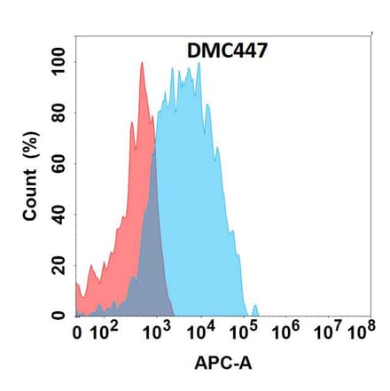 Flow Cytometry - Anti-CCR2 Chimeric Antibody [DMC447] - Azide free (A318731) - Antibodies.com