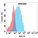 Flow Cytometry - Anti-CCR2 Chimeric Antibody [DMC447] - Azide free (A318731) - Antibodies.com