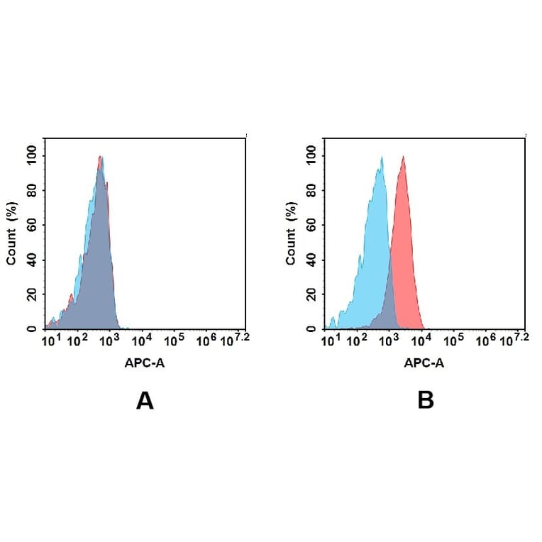 Flow Cytometry - Anti-c-Kit Antibody [DMC446] - BSA and Azide free (A318732) - Antibodies.com