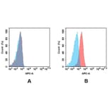 Flow Cytometry - Anti-c-Kit Antibody [DMC446] - BSA and Azide free (A318732) - Antibodies.com