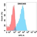 Flow Cytometry - Anti-GPCR RDC1/CXCR-7 Chimeric Antibody [DMC443] - Azide free (A318735) - Antibodies.com
