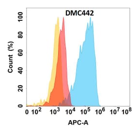 Flow Cytometry - Anti-CHODL Chimeric Antibody [DMC442] - Azide free (A318736) - Antibodies.com
