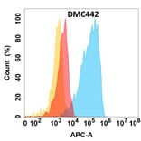 Flow Cytometry - Anti-CHODL Chimeric Antibody [DMC442] - Azide free (A318736) - Antibodies.com