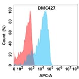 Flow Cytometry - Anti-GPVI Chimeric Antibody [DMC427] - Azide free (A318745) - Antibodies.com