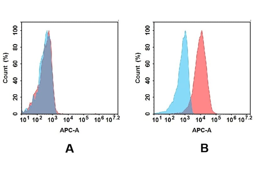 Flow Cytometry - Anti-EREG Antibody [DMC424] - BSA and Azide free (A318748) - Antibodies.com