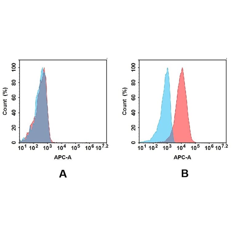Flow Cytometry - Anti-EREG Antibody [DMC424] - BSA and Azide free (A318748) - Antibodies.com