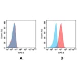 Flow Cytometry - Anti-EREG Antibody [DMC424] - BSA and Azide free (A318748) - Antibodies.com
