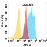 Flow Cytometry - Anti-Von Willebrand Factor Chimeric Antibody [DMC389] - Azide free (A318759) - Antibodies.com