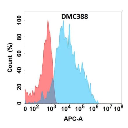 Flow Cytometry - Anti-EDA Chimeric Antibody [DMC388] - Azide free (A318760) - Antibodies.com