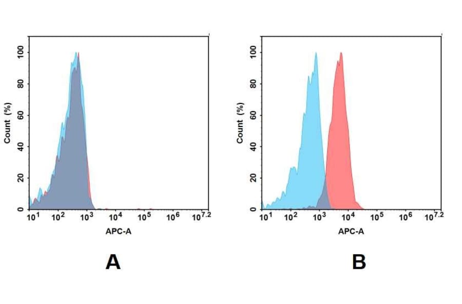 Flow Cytometry - Anti-ErbB2/HER2 Antibody [DMC369] - BSA and Azide free (A318764) - Antibodies.com