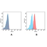 Flow Cytometry - Anti-ErbB2/HER2 Antibody [DMC369] - BSA and Azide free (A318764) - Antibodies.com