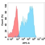 Flow Cytometry - Anti-ICAM1 Chimeric Antibody [DMC367] - Azide free (A318766) - Antibodies.com