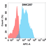 Flow Cytometry - Anti-NKG2D Chimeric Antibody [DMC287] - Azide free (A318771) - Antibodies.com