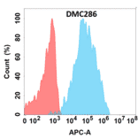 Flow Cytometry - Anti-CD84 Chimeric Antibody [DMC286] - Azide free (A318772) - Antibodies.com