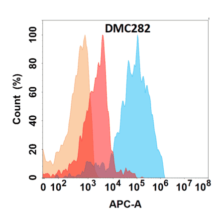 Flow Cytometry - Anti-IL-11RA Chimeric Antibody [DMC282] - Azide free (A318776) - Antibodies.com