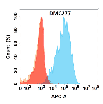 Flow Cytometry - Anti-Galectin 1 Chimeric Antibody [DMC277] - Azide free (A318781) - Antibodies.com