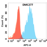 Flow Cytometry - Anti-Galectin 1 Chimeric Antibody [DMC277] - Azide free (A318781) - Antibodies.com
