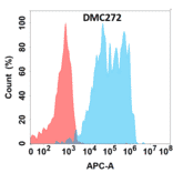 Flow Cytometry - Anti-CD127 Chimeric Antibody [DMC272] - Azide free (A318786) - Antibodies.com