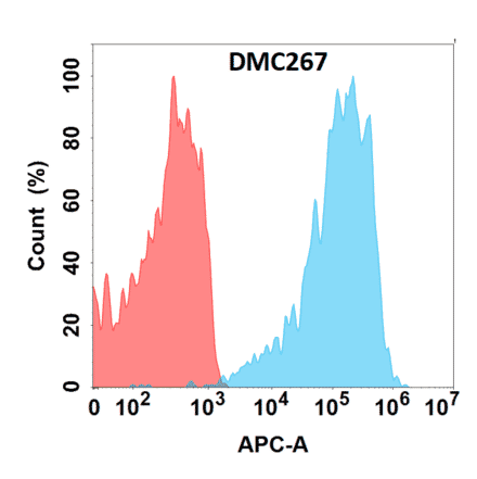 Flow Cytometry - Anti-RANKL Chimeric Antibody [DMC267] - Azide free (A318791) - Antibodies.com