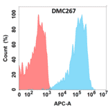 Flow Cytometry - Anti-RANKL Chimeric Antibody [DMC267] - Azide free (A318791) - Antibodies.com