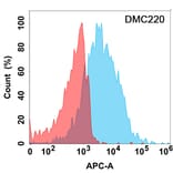 Flow Cytometry - Anti-FCRL5 Chimeric Antibody [DMC220] - Azide free (A318797) - Antibodies.com
