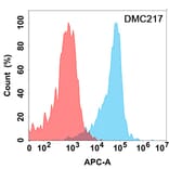 Flow Cytometry - Anti-CD24 Chimeric Antibody [DMC217] - Azide free (A318799) - Antibodies.com